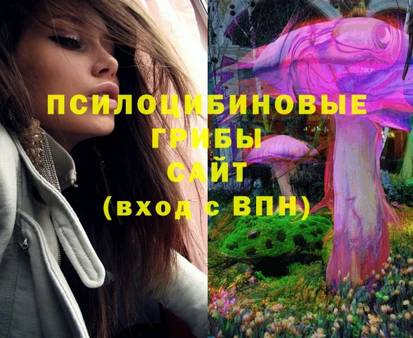 ешки Абдулино