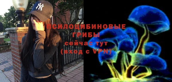 амф Абинск