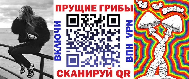Галлюциногенные грибы Psilocybe  цена   OMG сайт  Якутск 